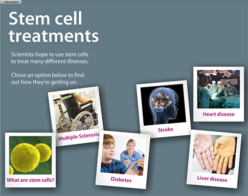 Find out more about stem cells